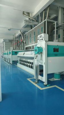 Win-Win Cooperation｜Hubei Wufeng Grain Machinery Facilitates Successful Completion of Qingyuan Yuanliang Rice Industry's 225-Ton-Per-Day Project in Guangdong!