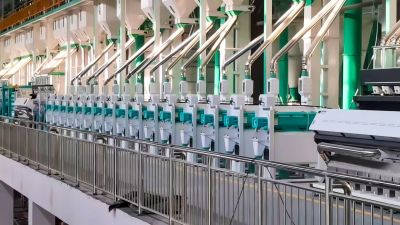 Win-Win Cooperation | Wufeng's 16 Rice Millers Help Huainan Gumao Ecological Agriculture Build a Rice Production Line with Daily Output of 400 Tons
