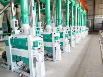 Win-Win Cooperation | Wufeng's 12 Rice Mills Help Jiangxi Hesheng Rice Industry's 150-Ton Complete Set Project Put into Operation Smoothly