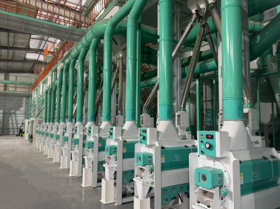 Win-Win Cooperation | Warm Congratulations on the Successful Commissioning of the 300 TPD Rice Milling Production Line of Jiangxi Lvneng Agriculture