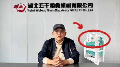 70 Years of Craftsmanship Excellence | Comprehensive Analysis of the Core Performance Advantages of Wufeng Up-Suction Horizontal Rice Milling Machine